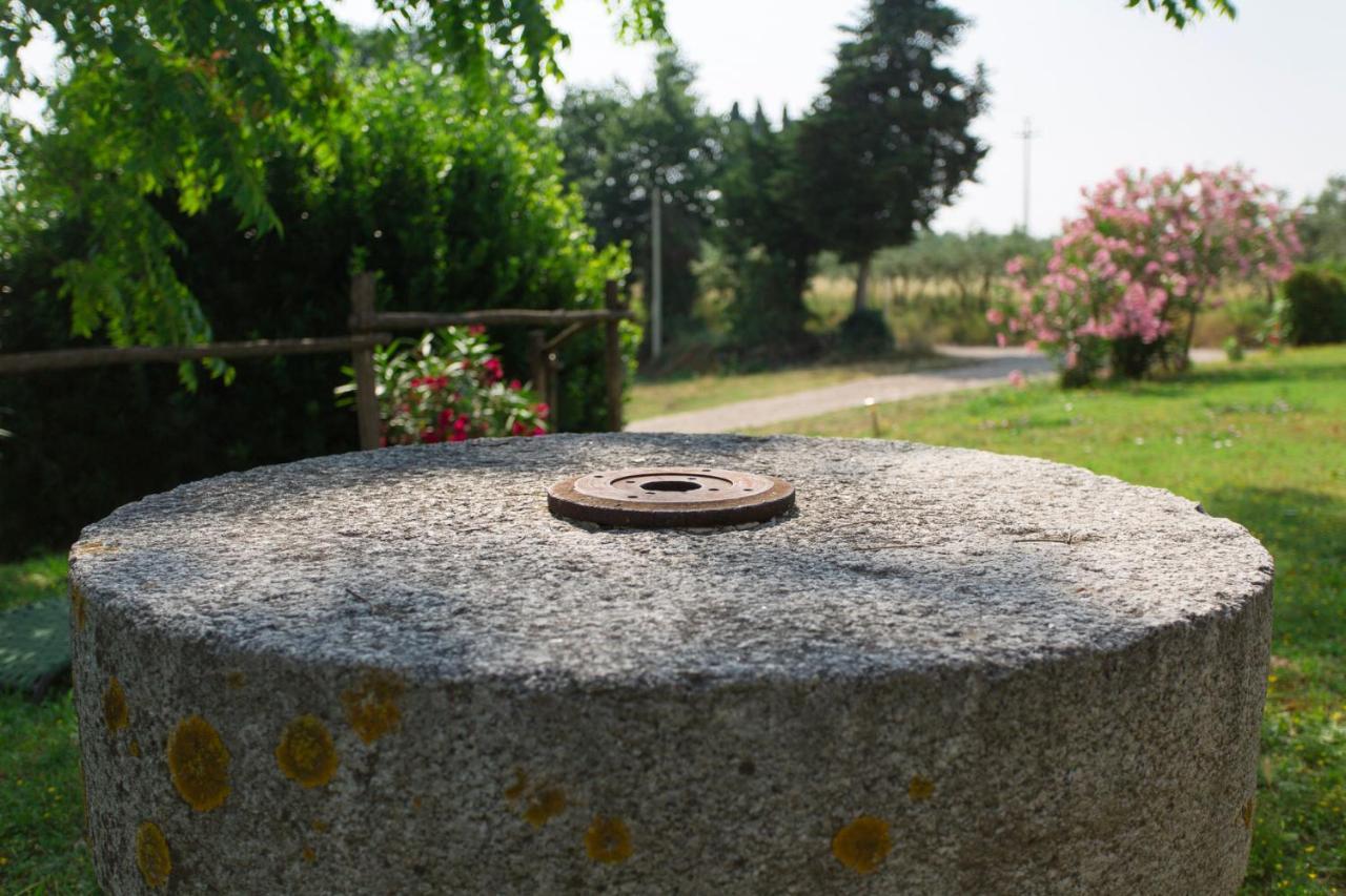 Villa Tenuta Il Corno Agriturismo San Casciano in Val di Pesa Exterior foto